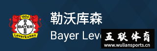 德甲联赛24-25新赛季夺冠热门球队，看看有没有你喜欢的球队。看看你是谁的球迷！